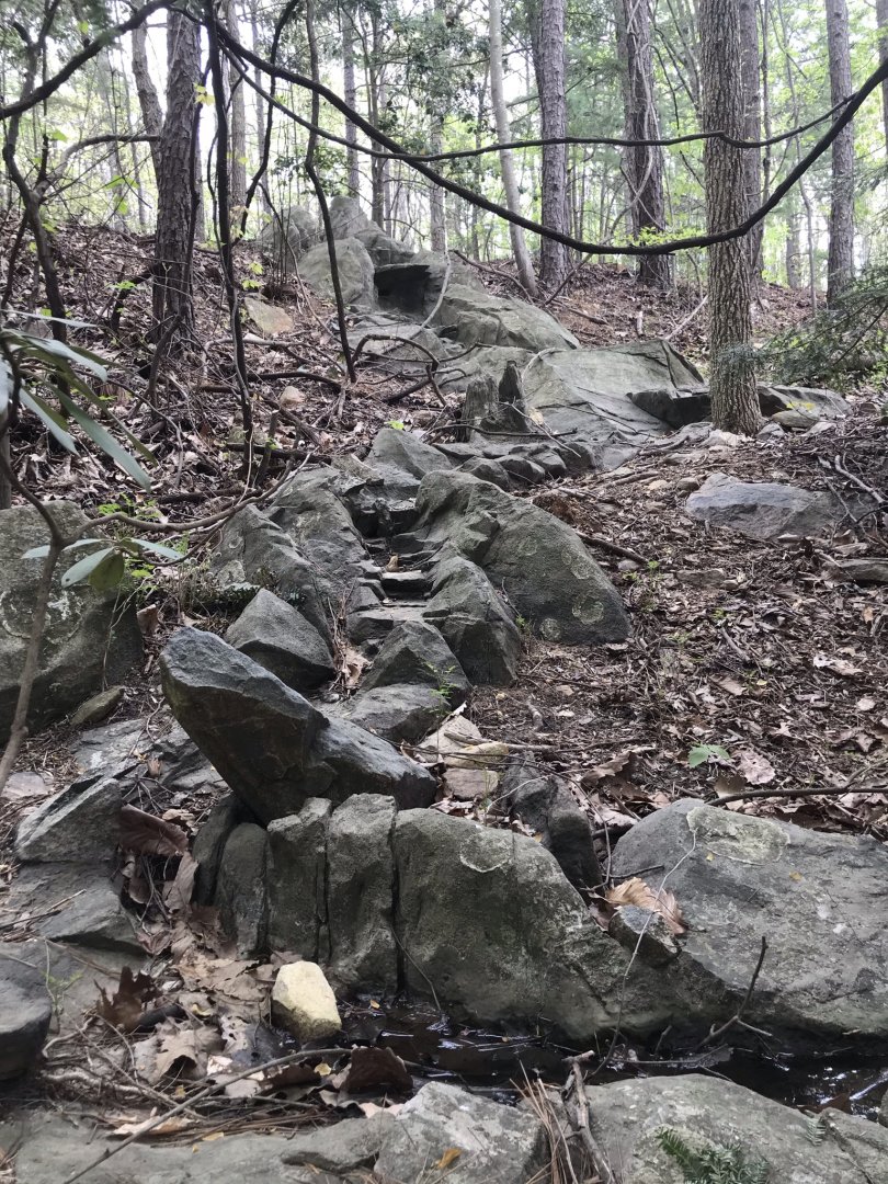 North Carolina Zoo: Abandoned Artificial Stream at Streamside