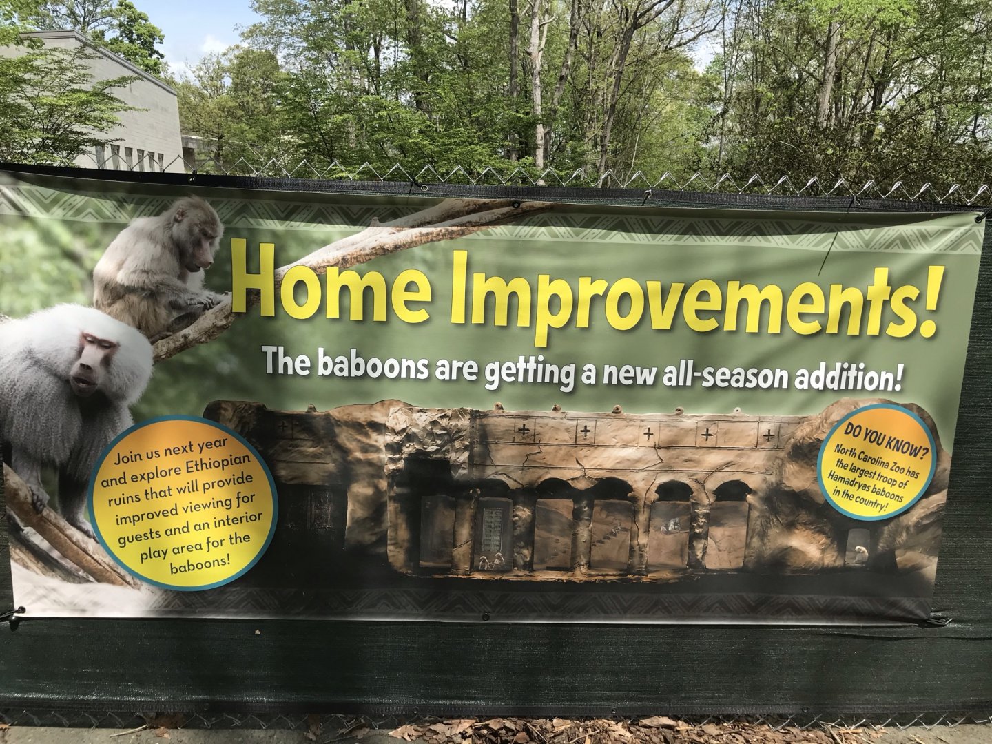 North Carolina Zoo: Baboon Housing Construction Banner