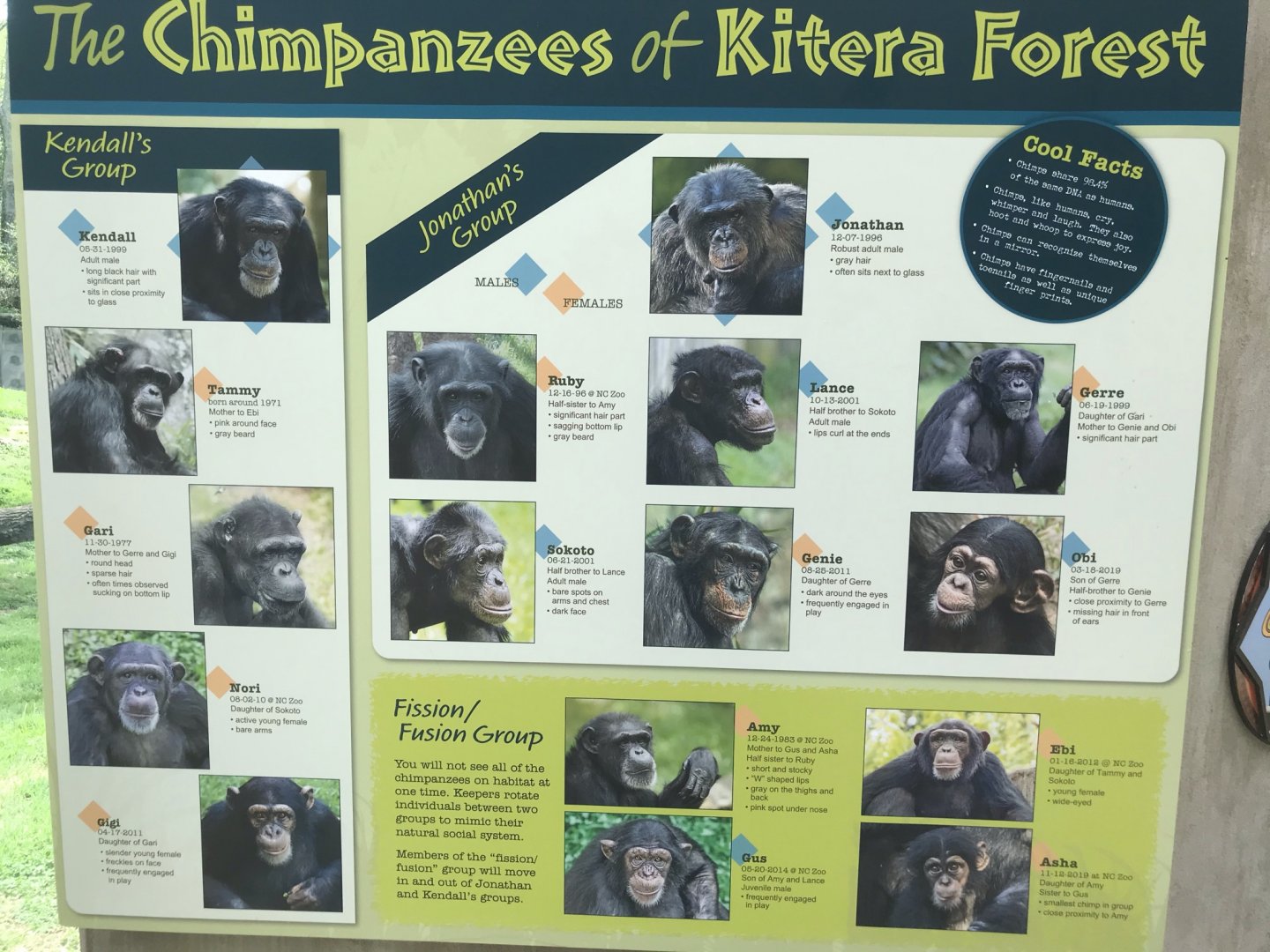 North Carolina Zoo: Chimpanzee Troop Guide