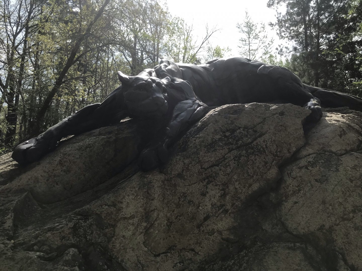 North Carolina Zoo: Cougar Statue
