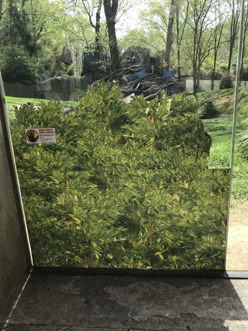 North Carolina Zoo: Cover for Cracked Glass at Chimp Exhibit