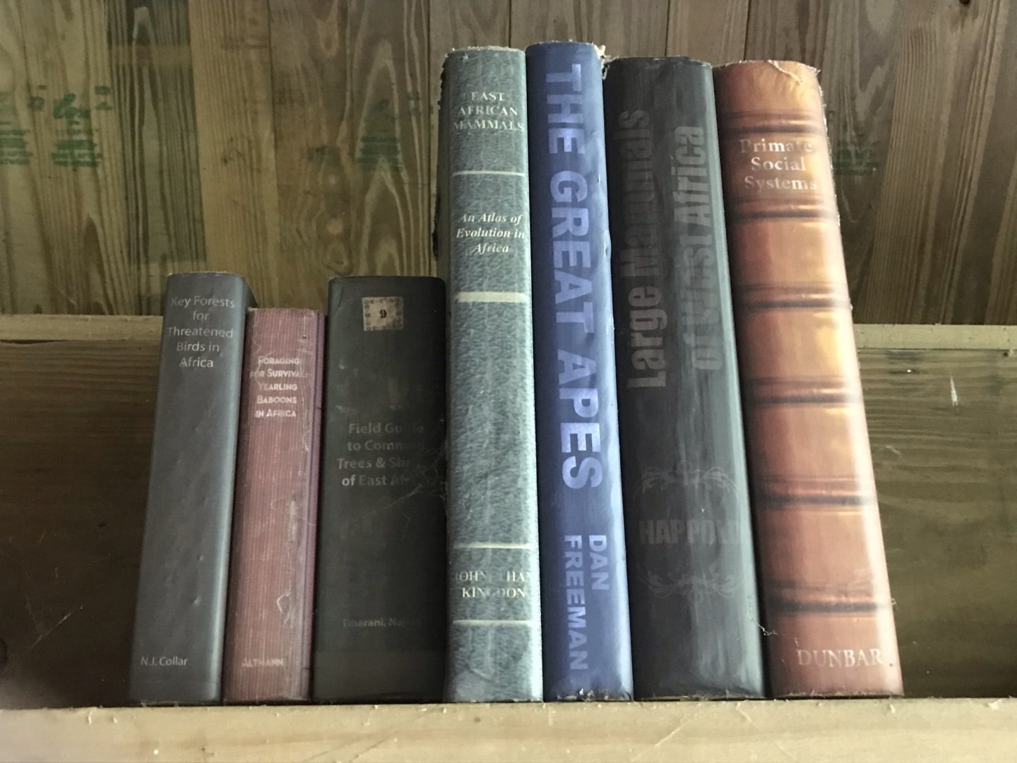 North Carolina Zoo: Decorative Books at Chimpanzee Habitat