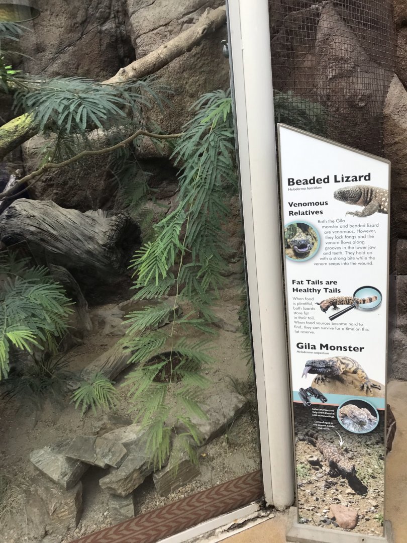 North Carolina Zoo: Gila Monsters and Beaded Lizards in old Komodo Dragon Habitat