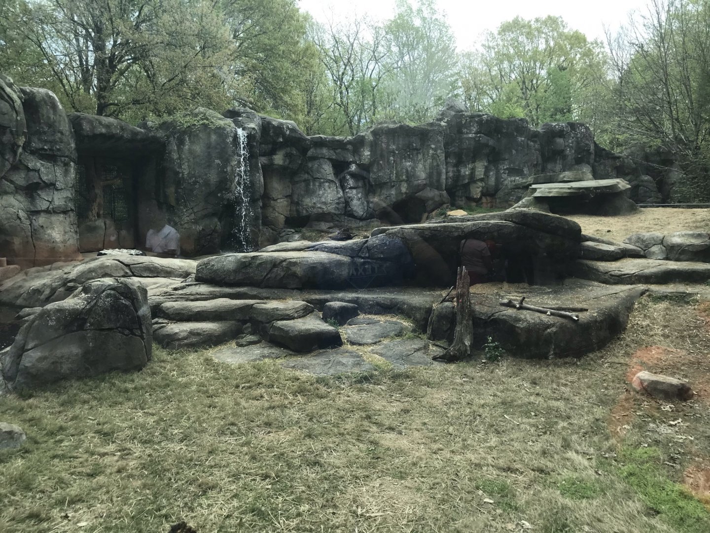North Carolina Zoo: Grizzly Bear Exhibit