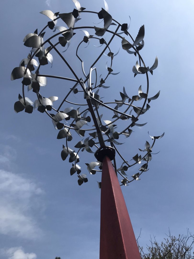 North Carolina Zoo: "Murmuration"