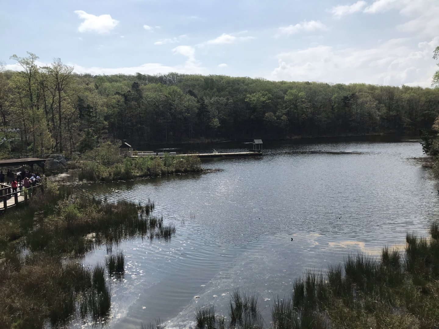 North Carolina Zoo: North America Lake