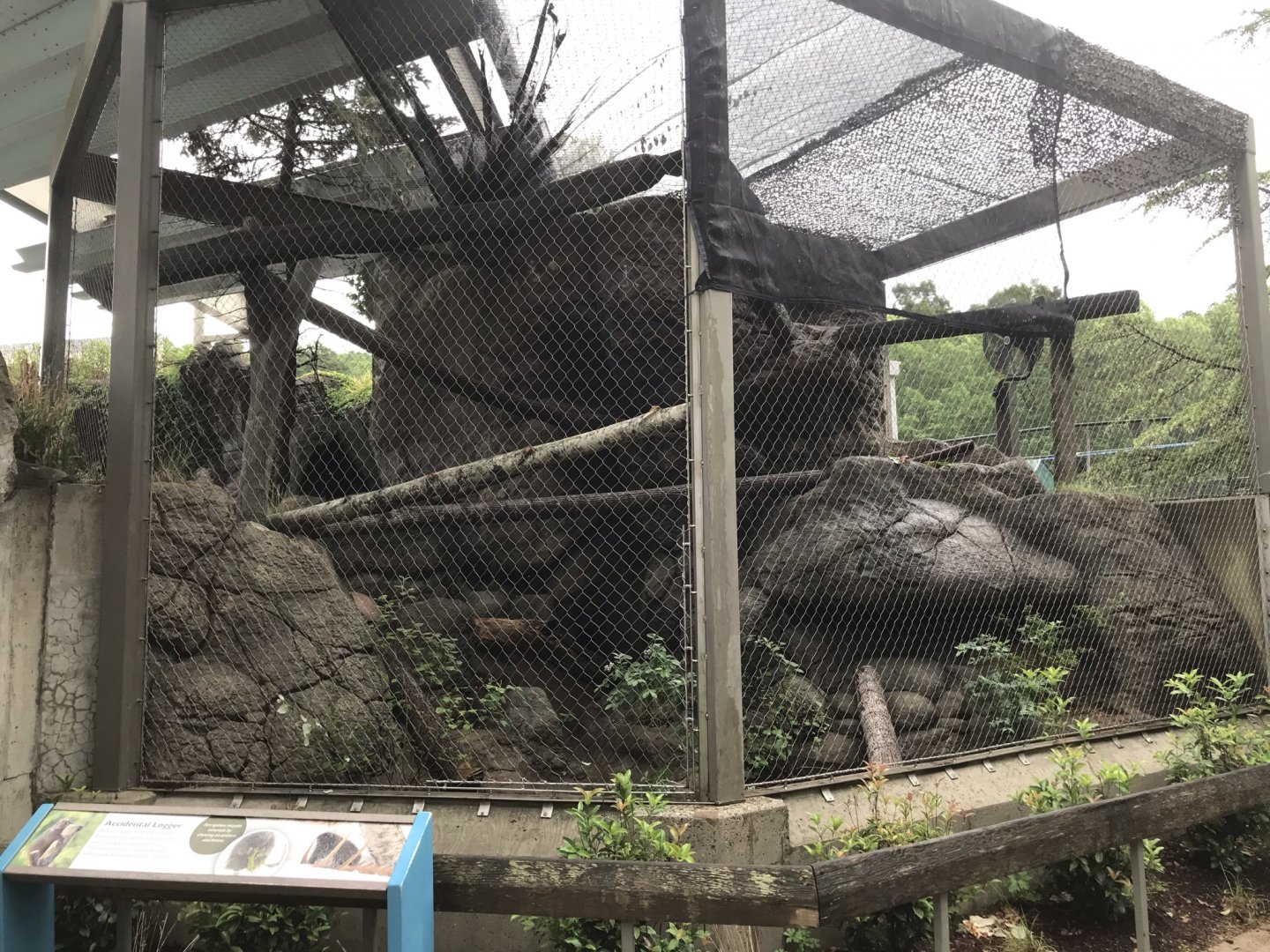 North Carolina Zoo: North American Porcupine Exhibit