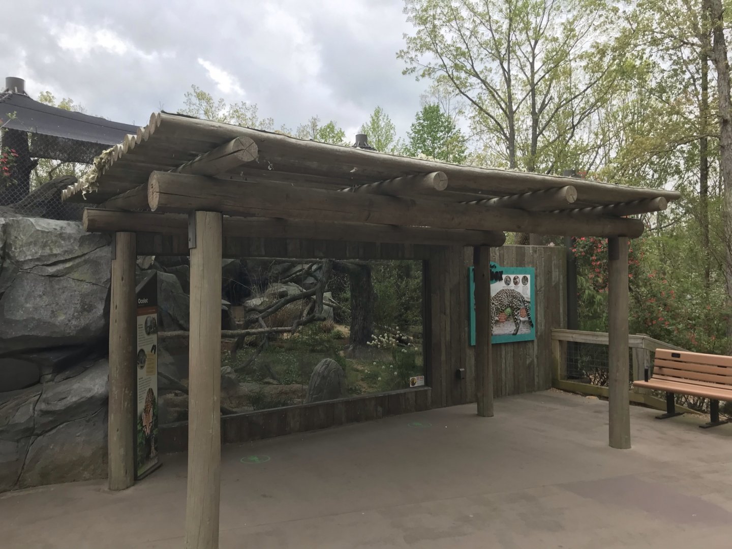 North Carolina Zoo: Ocelot Exhibit