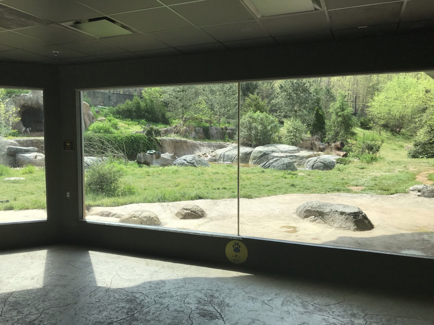 North Carolina Zoo: Polar Bear Exhibit Expansion