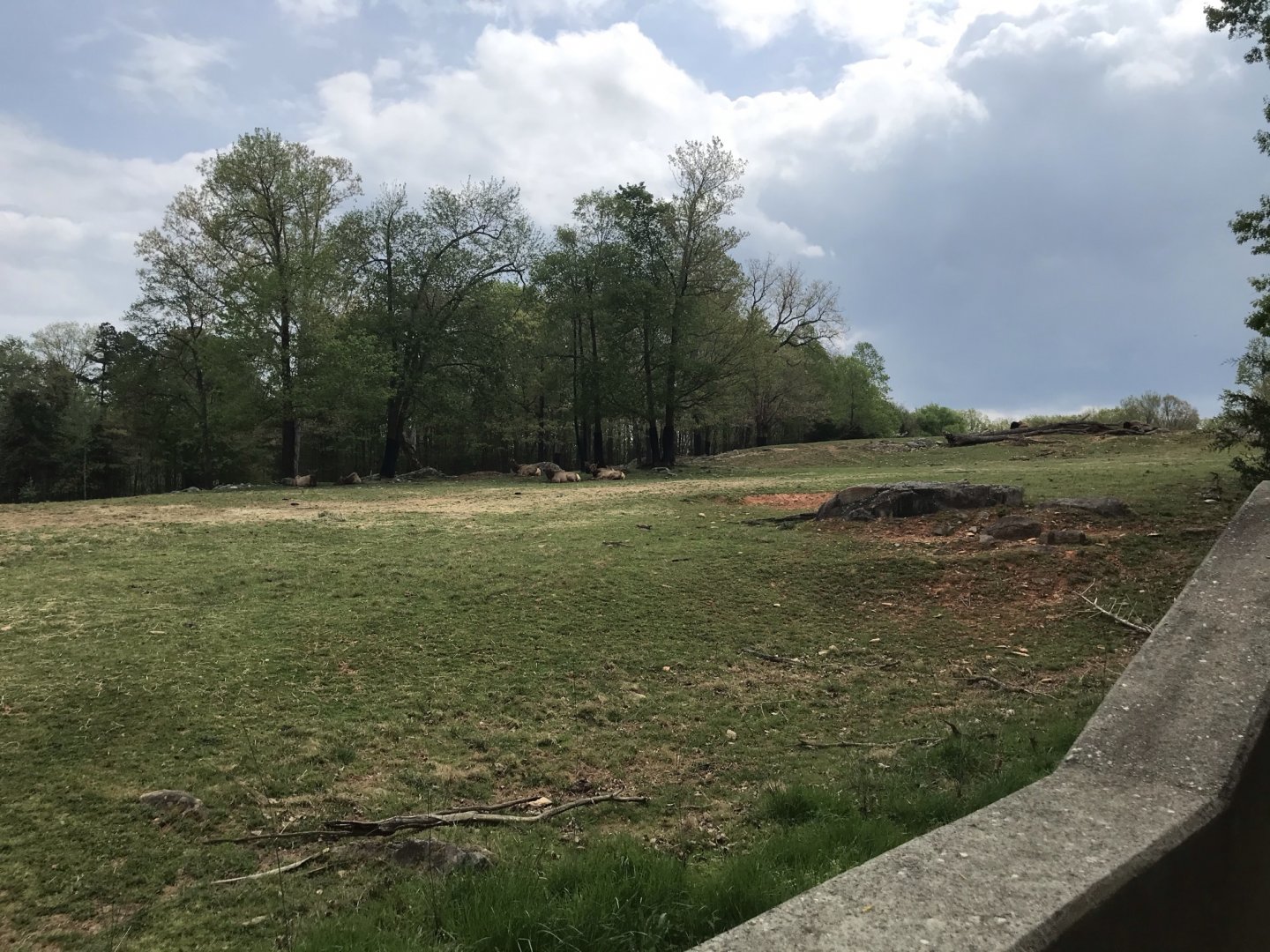 North Carolina Zoo: Prairie-Bison and Elk