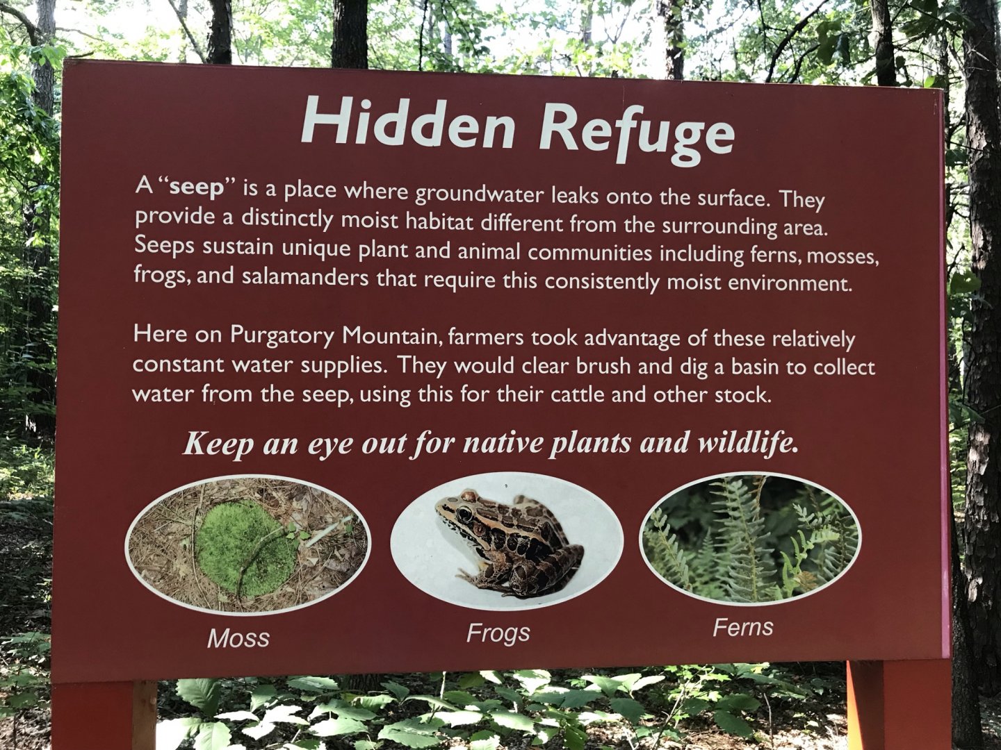 North Carolina Zoo: Purgatory Trail "Seep" Sign