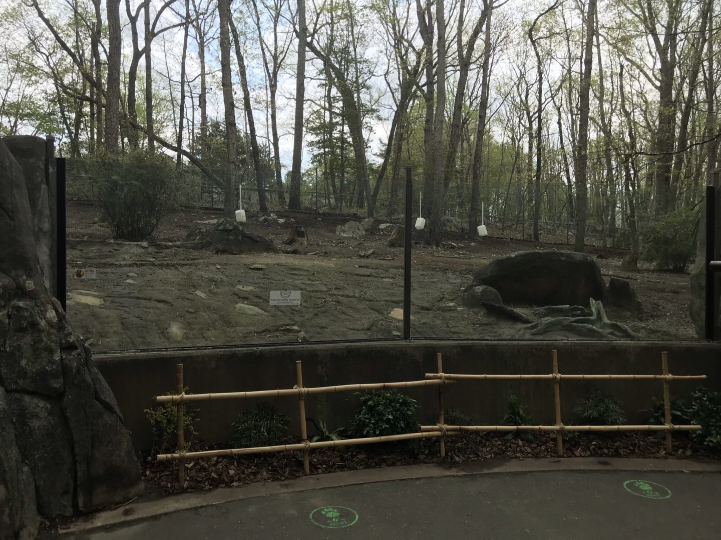 North Carolina Zoo: Red River Hog Habitat