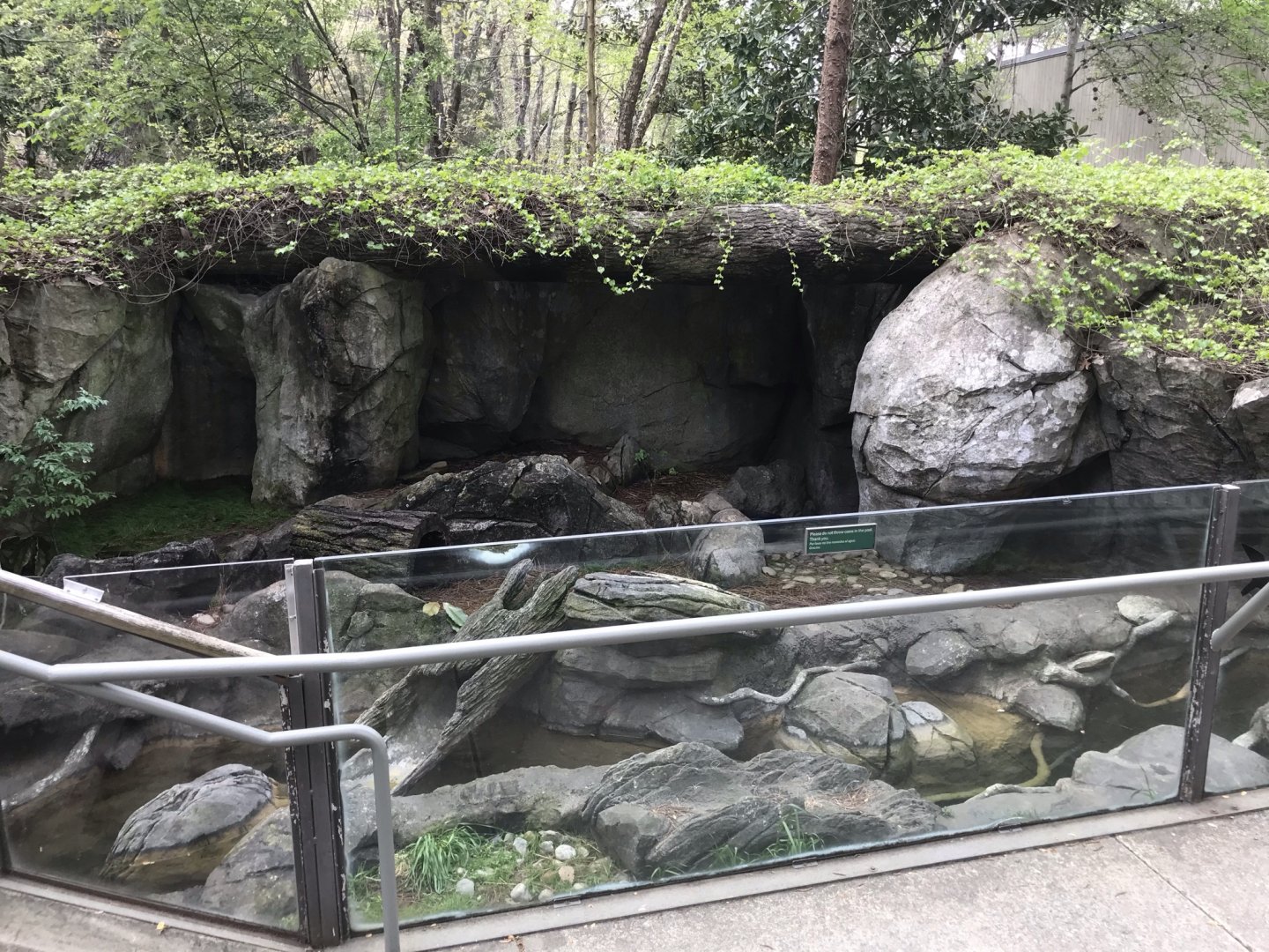 North Carolina Zoo: River Otter Exhibit