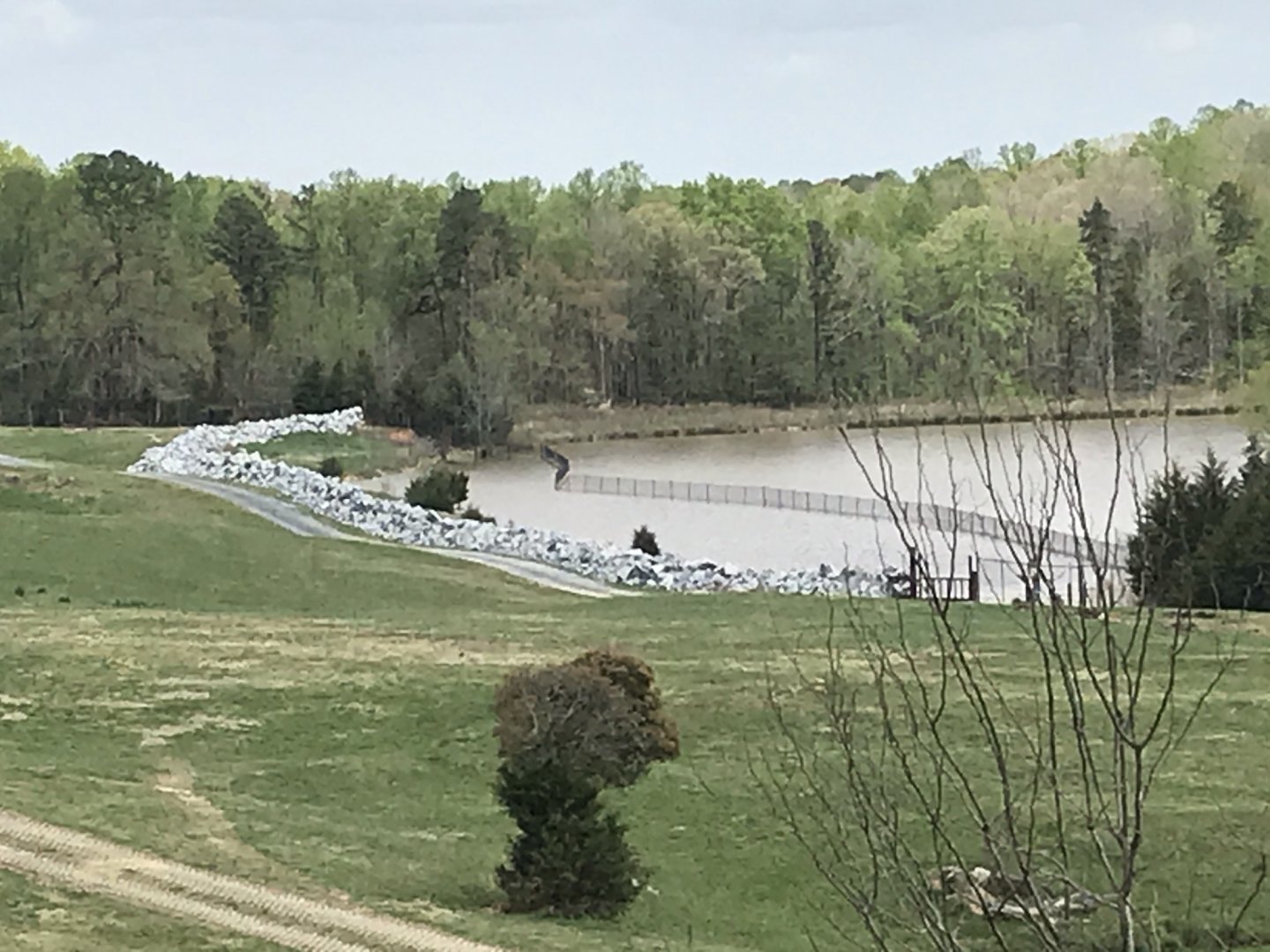 North Carolina Zoo: Rock Wall around Watani Grasslands Lake