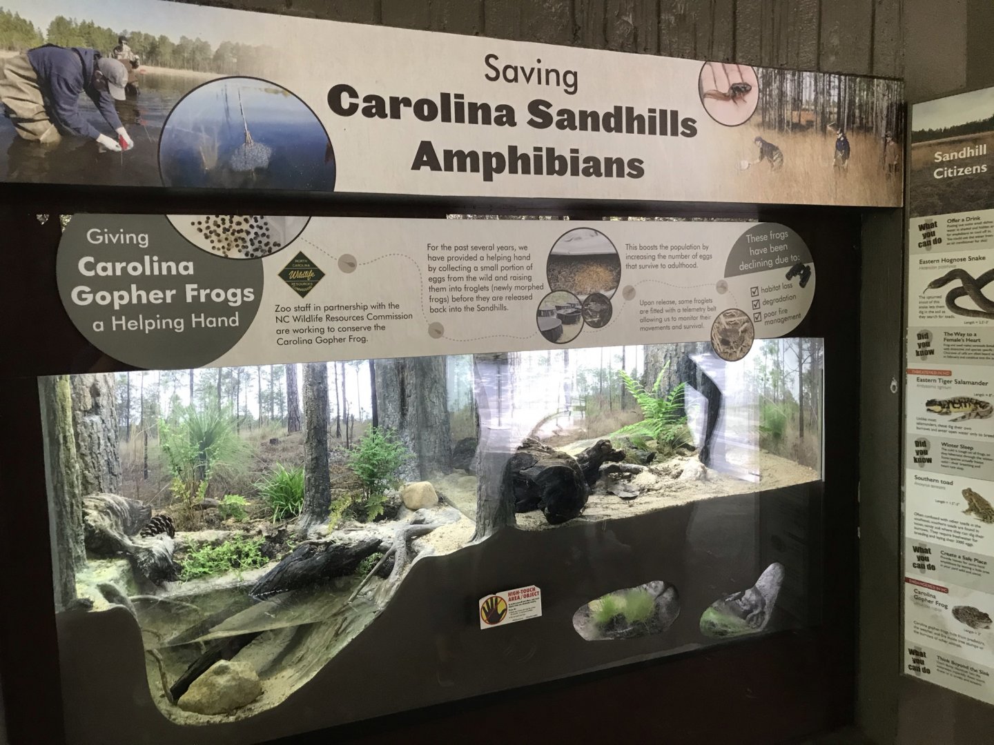 North Carolina Zoo: Sandhills Exhibit
