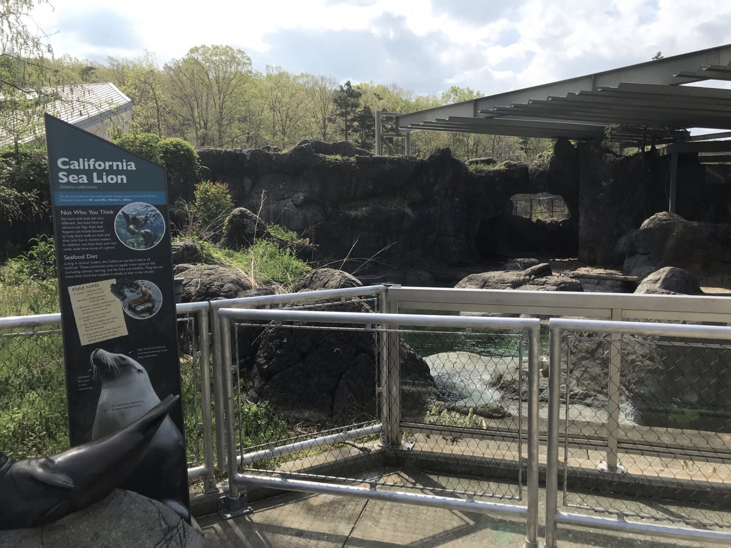 North Carolina Zoo: Seal and Sea Lion Exhibit