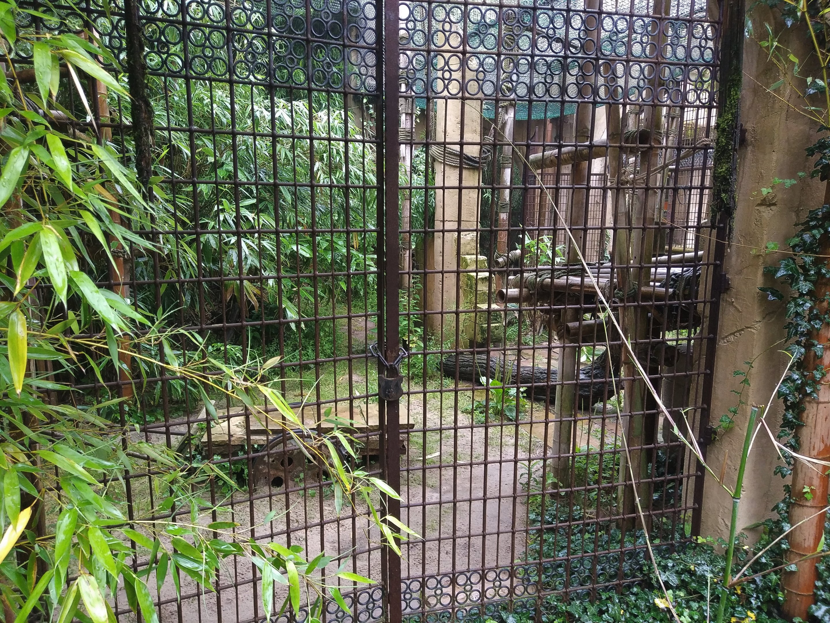 North Chinese Leopard Containment - Asia