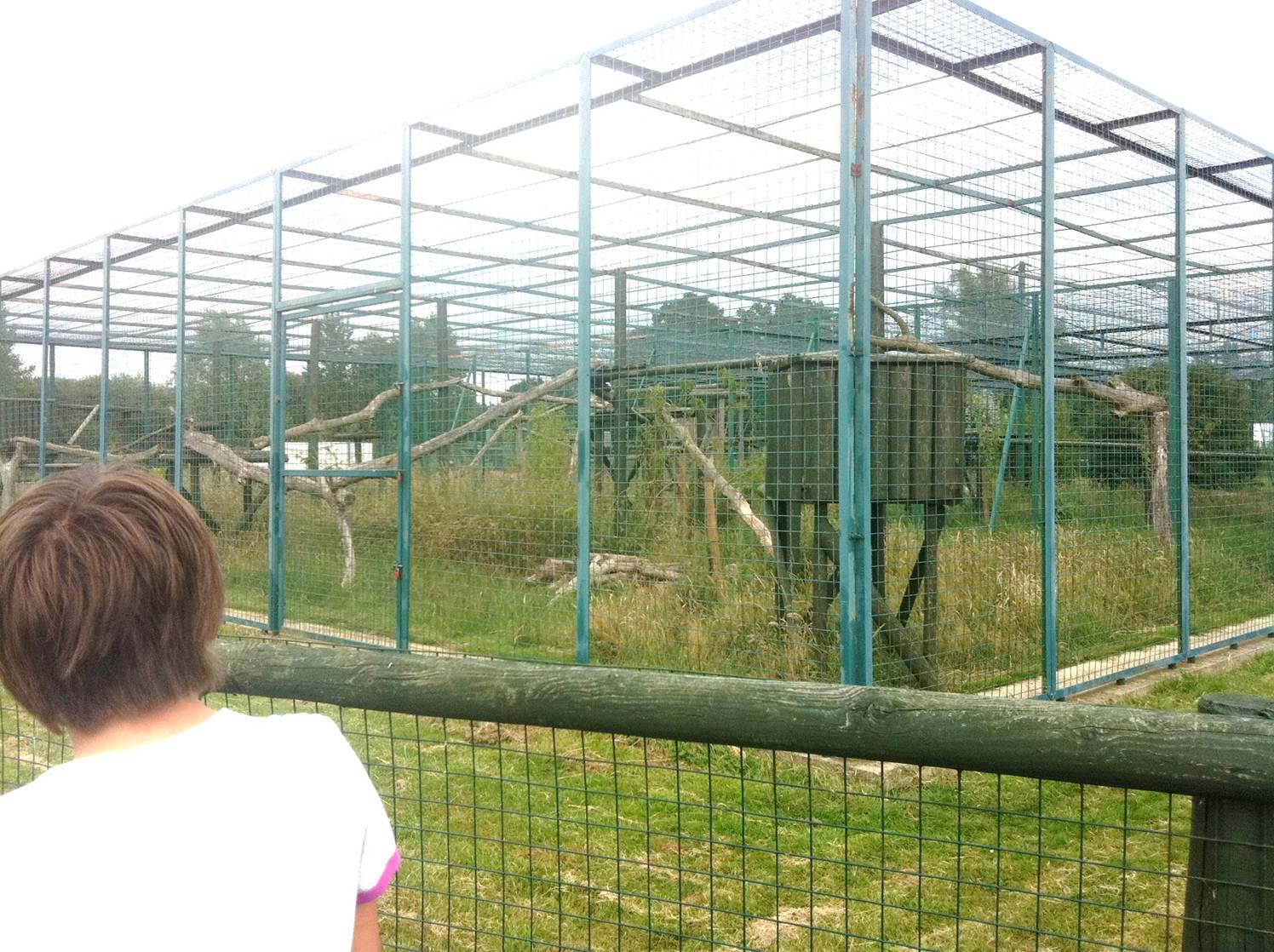 North Chinese Leopard Enclosure (3rd July 2011)
