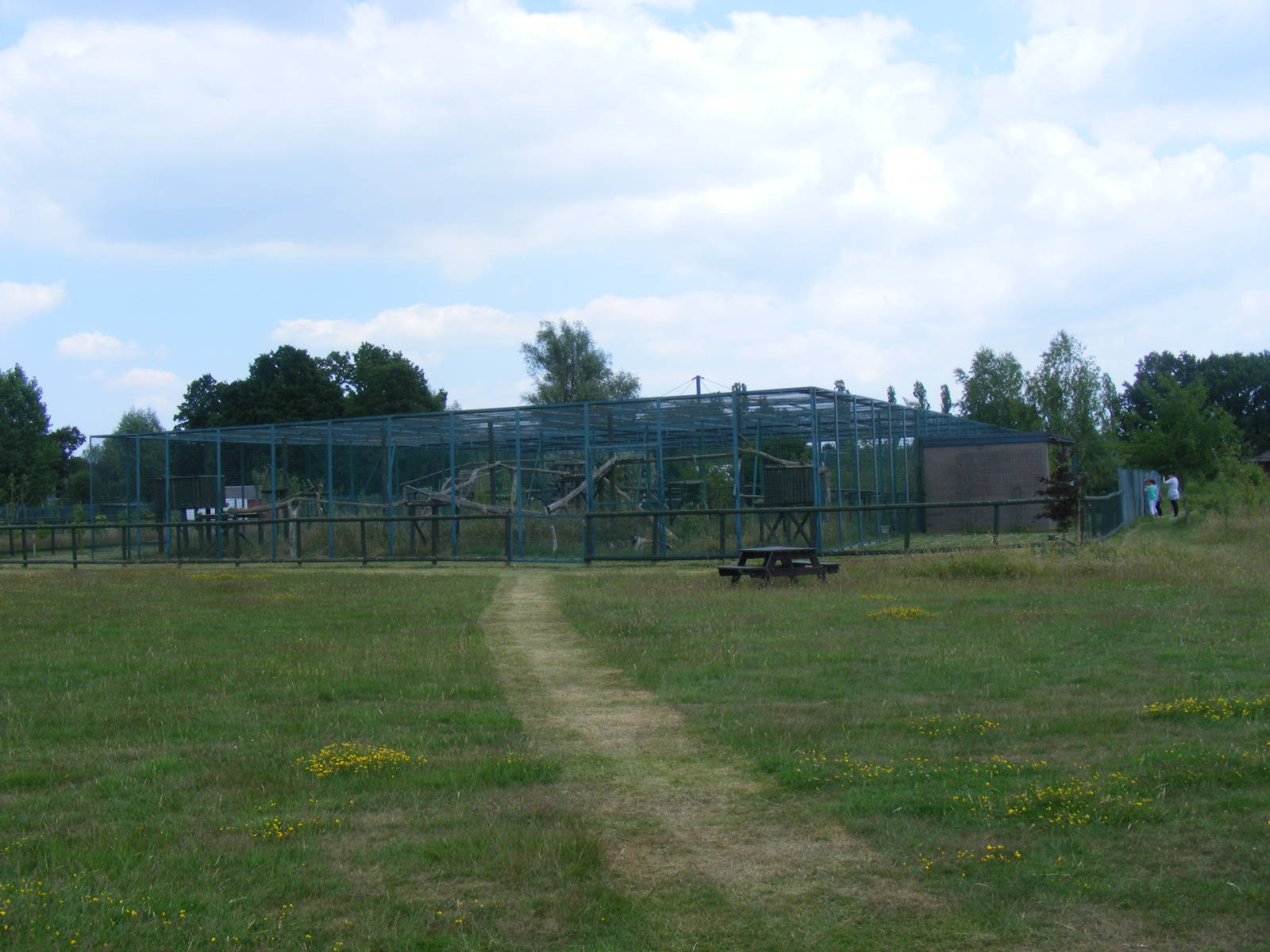 North Chinese leopard enclosure at WHF, 3 July 2011