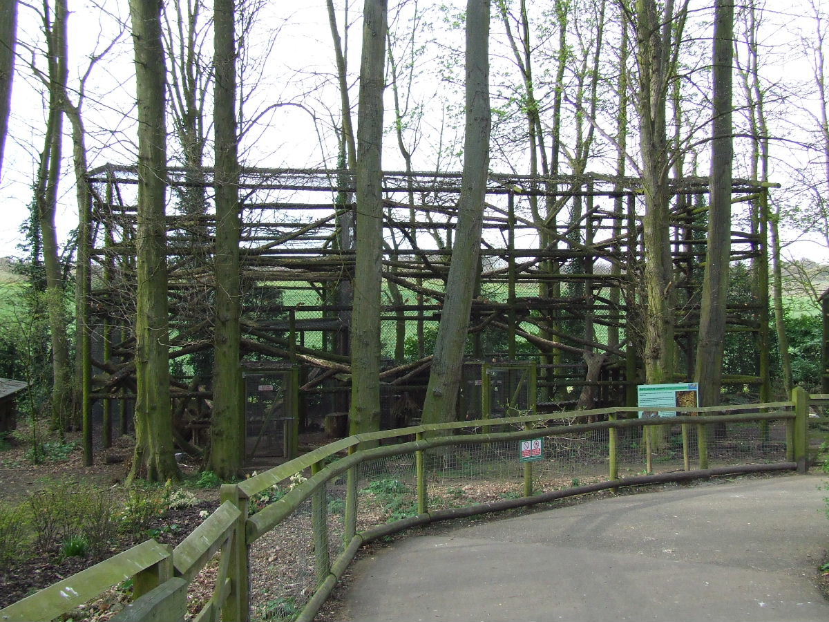 North Chinese Leopard enclosure (cage)
