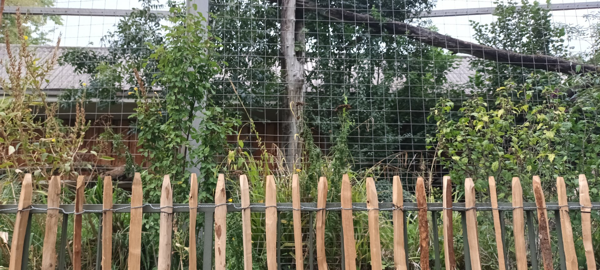 North Chinese Leopard Outdoor Enclosure