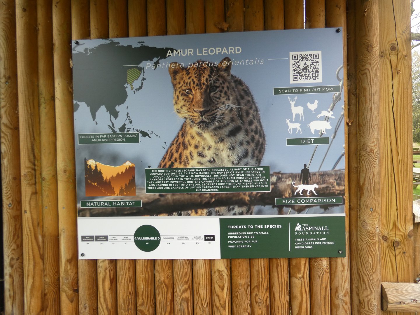 North Chinese leopard signage