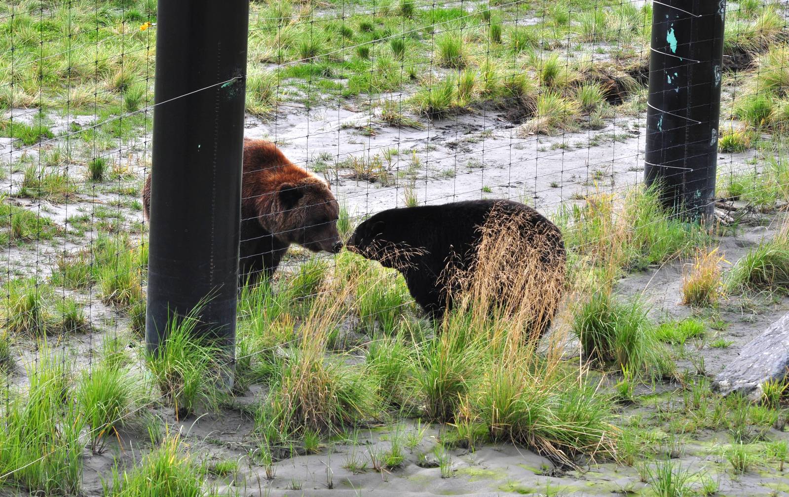 North-eastern British Coumbia or Coastal Alaska 20,000 years ago.