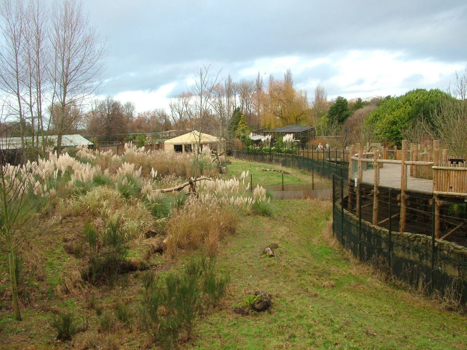 North-eastern Cheetah exhibit at Chester 06/12/09