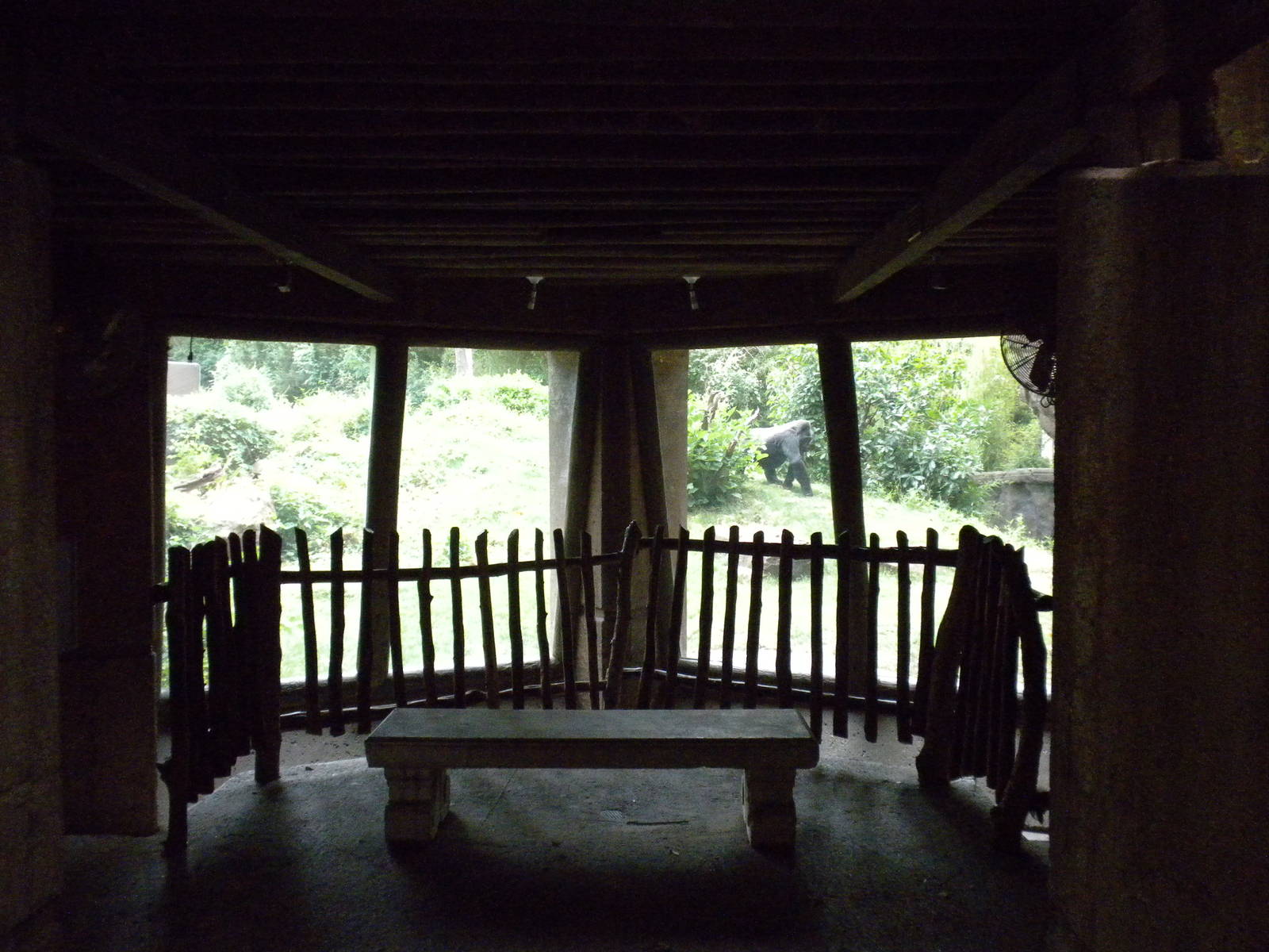 North Gorilla Viewing Bunker