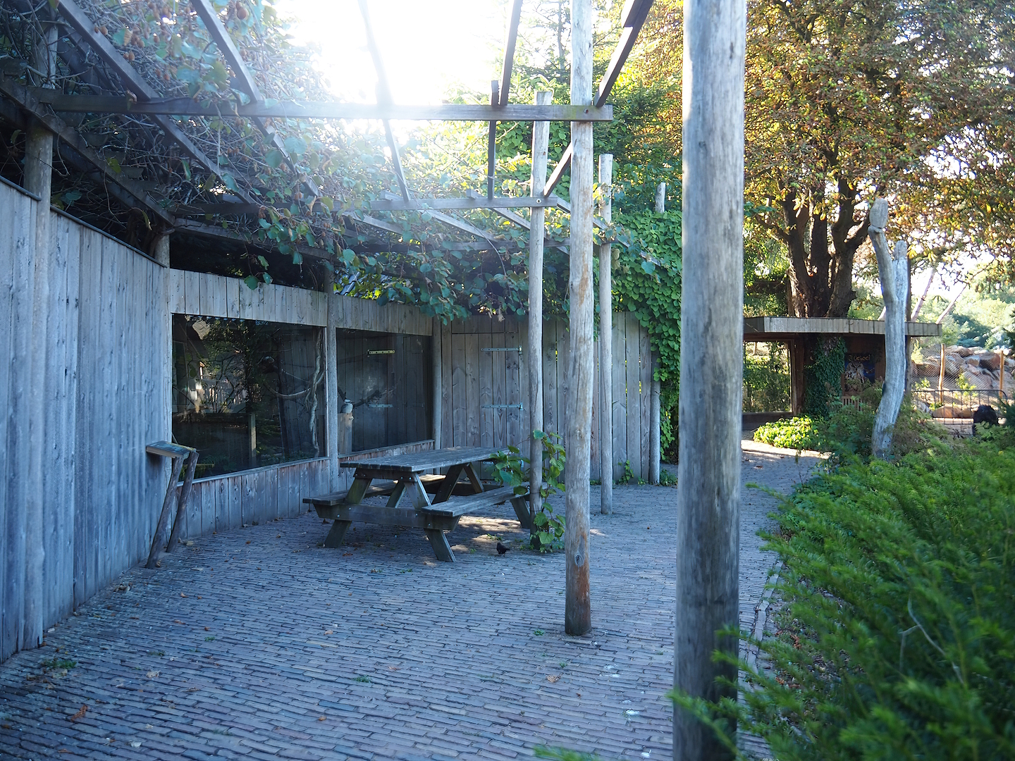 North Island brown kiwi and Laughing kookaburra exhibit viewing area, 2022-08-28