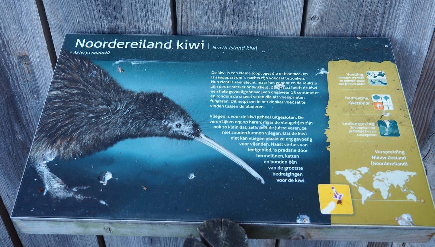 North Island brown kiwi signage, 2022-08-28