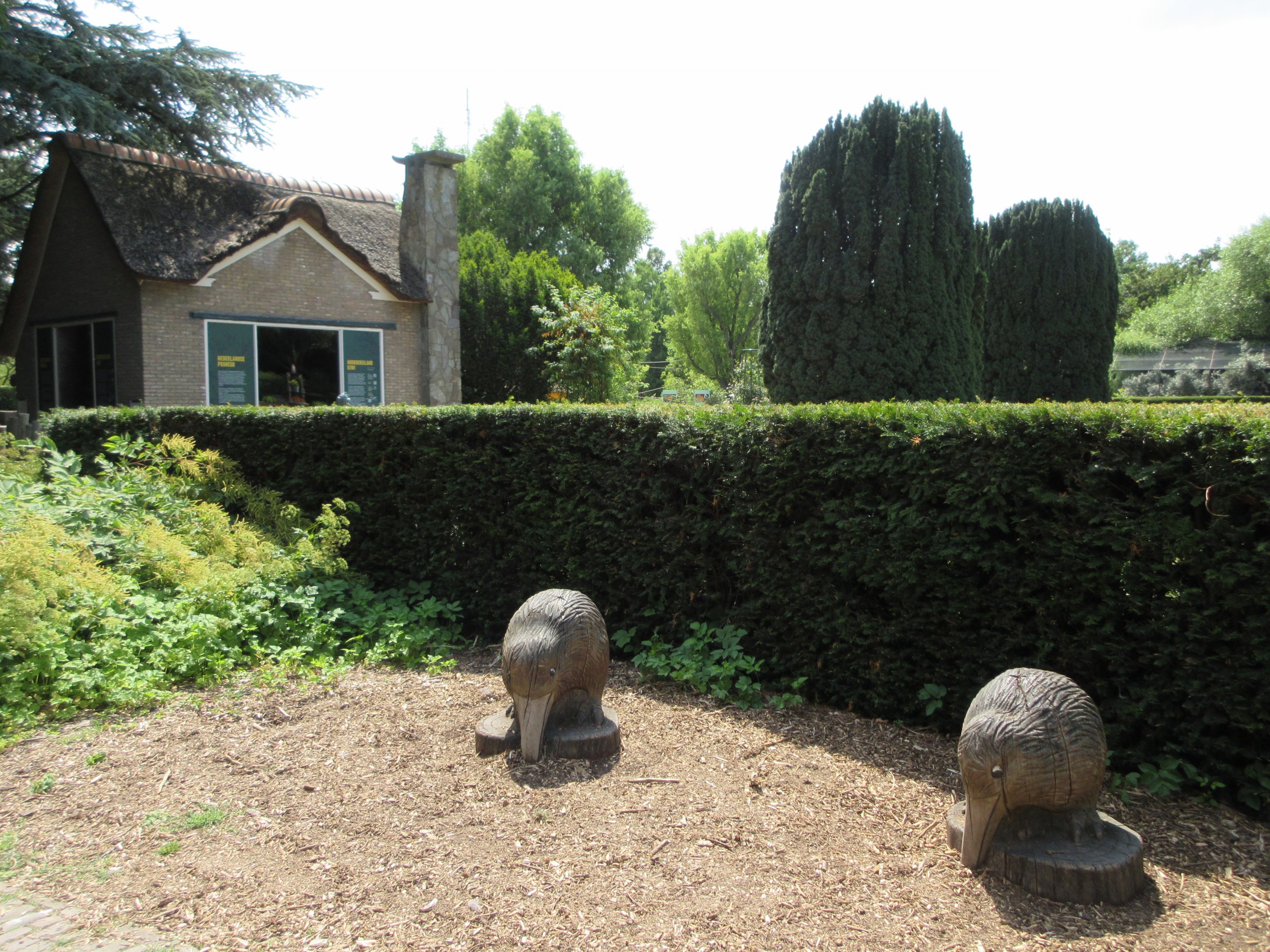 North Island Kiwi House + Kiwi Statues