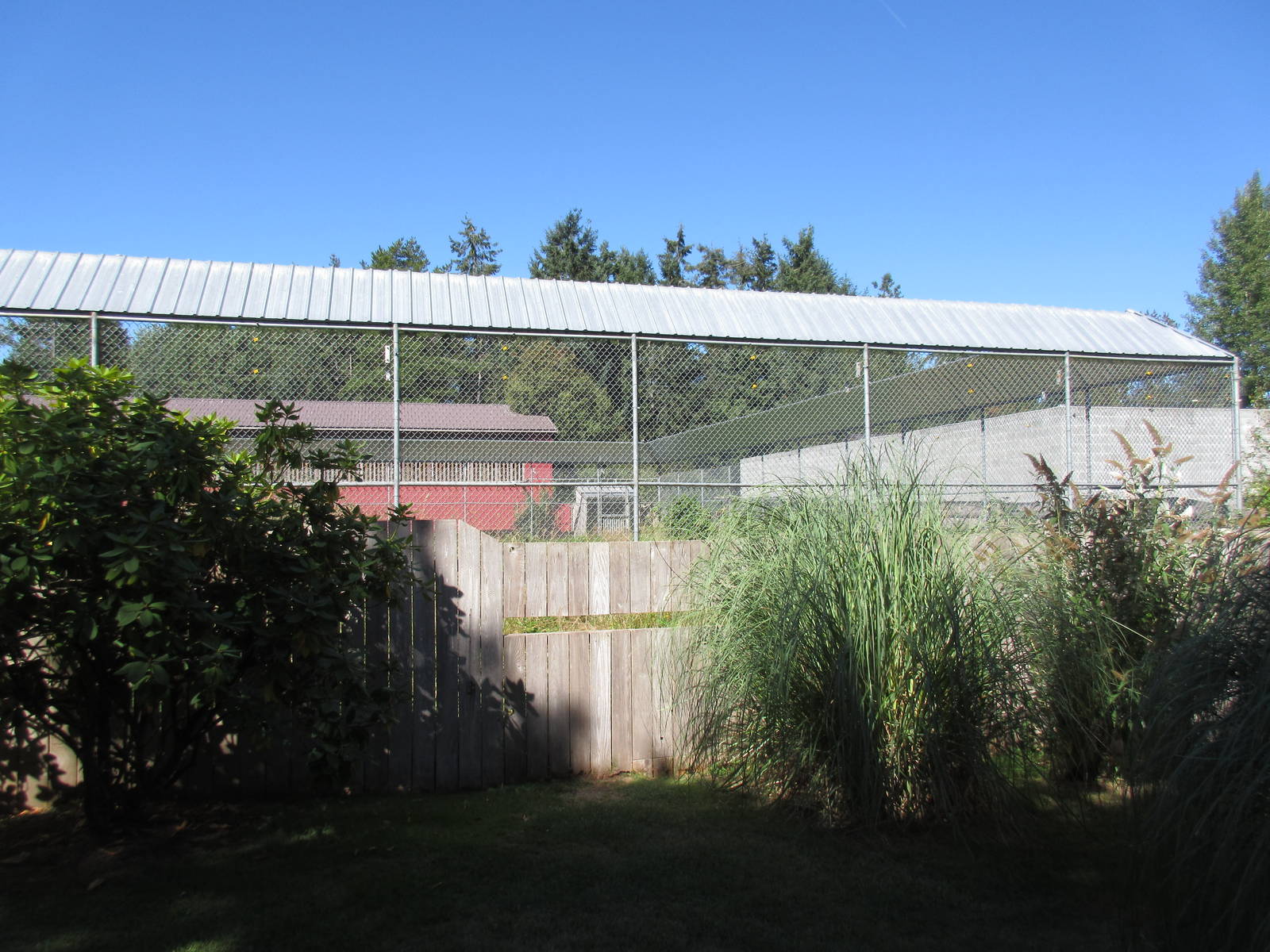 North Island Wildlife Recovery Centre - American Black Bear Exhibit