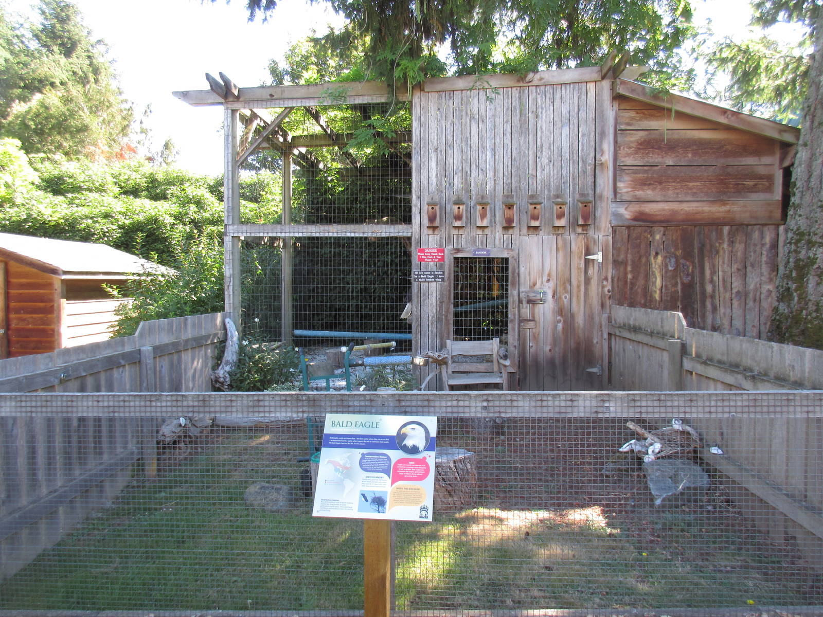 North Island Wildlife Recovery Centre - Bald Eagle Exhibit + Demonstration