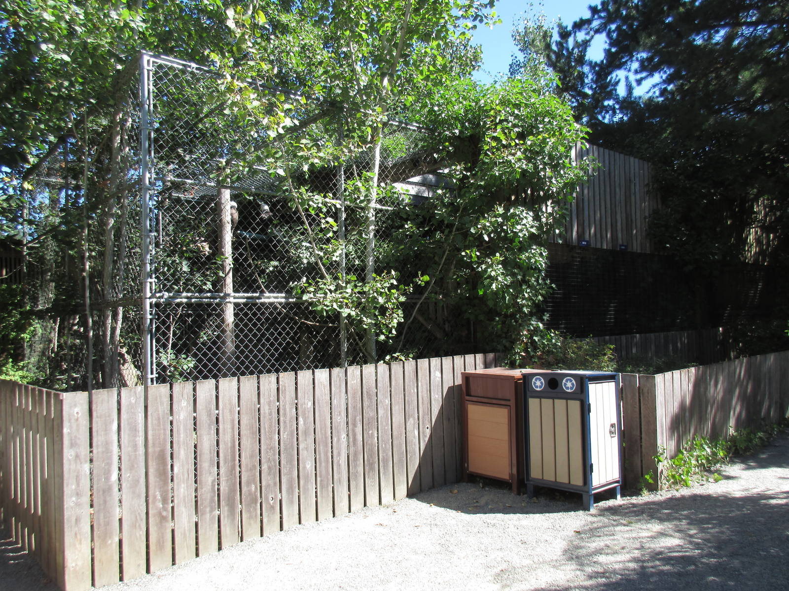North Island Wildlife Recovery Centre - Bald Eagle Exhibit
