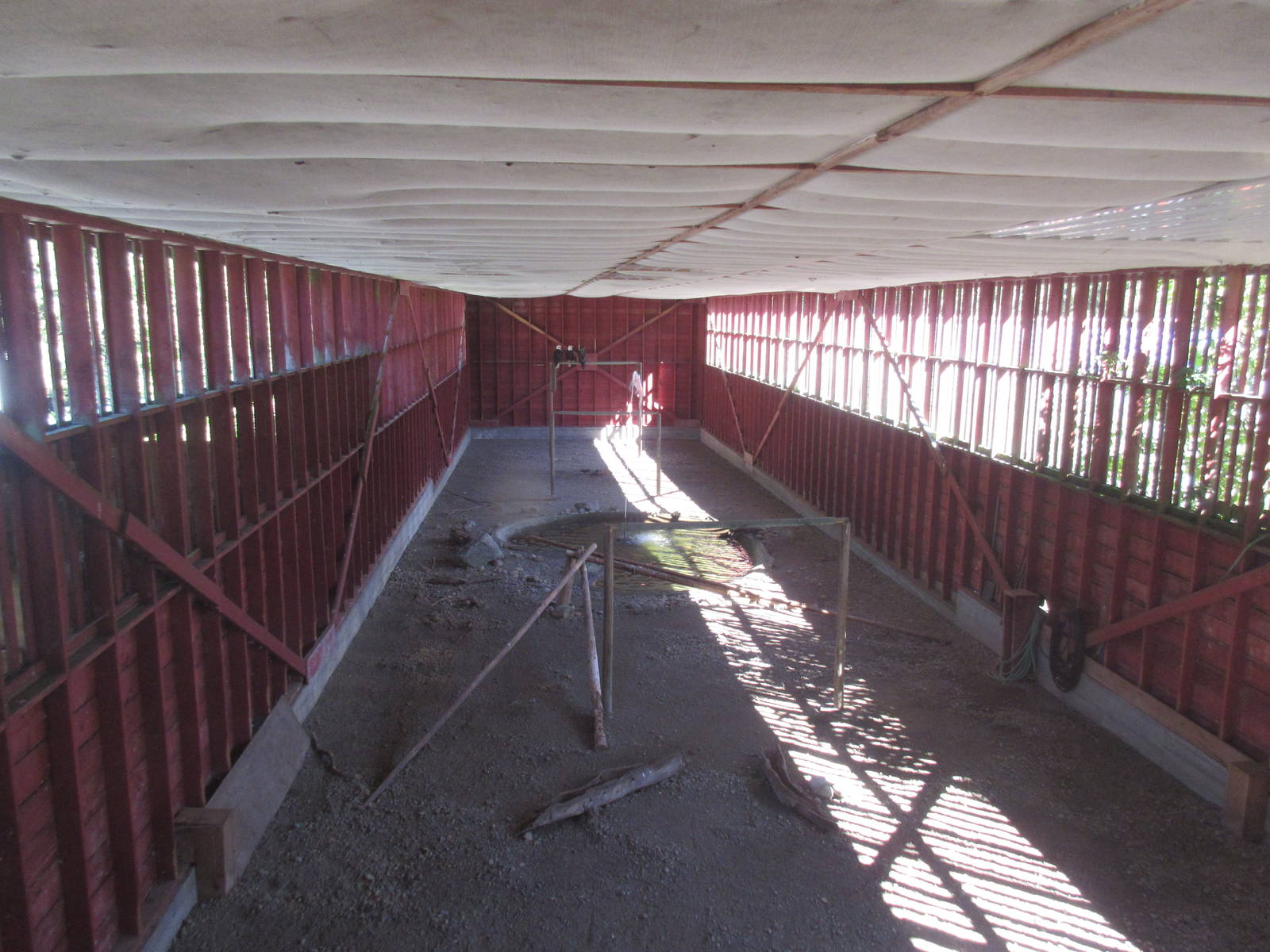 North Island Wildlife Recovery Centre - Bald Eagle Flight Cage (140 feet lo