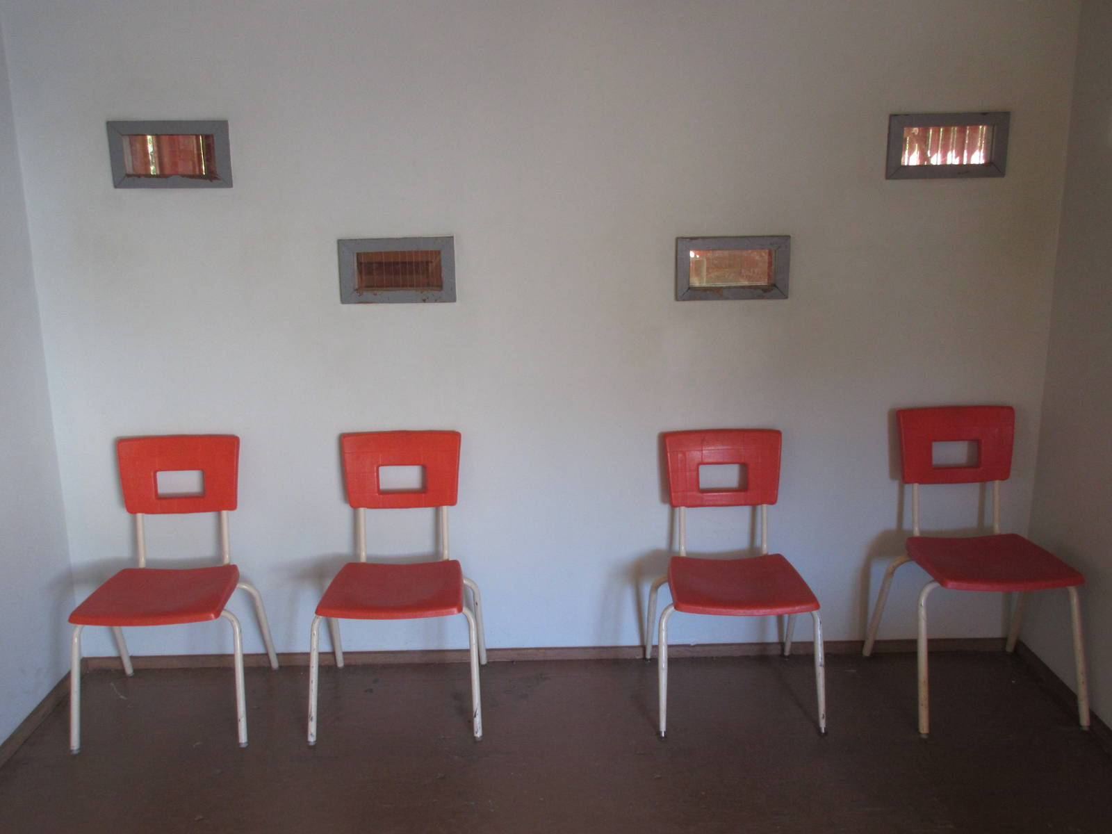 North Island Wildlife Recovery Centre - Bald Eagle Flight Cage Viewing Wind