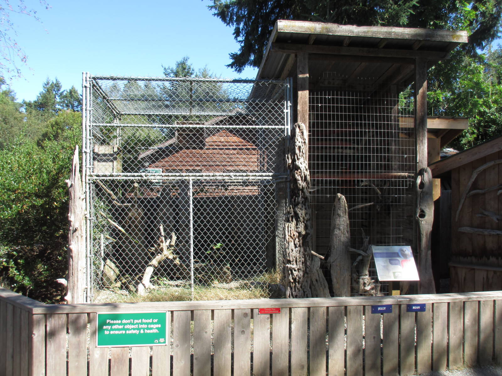 North Island Wildlife Recovery Centre - Barn Owl Exhibit