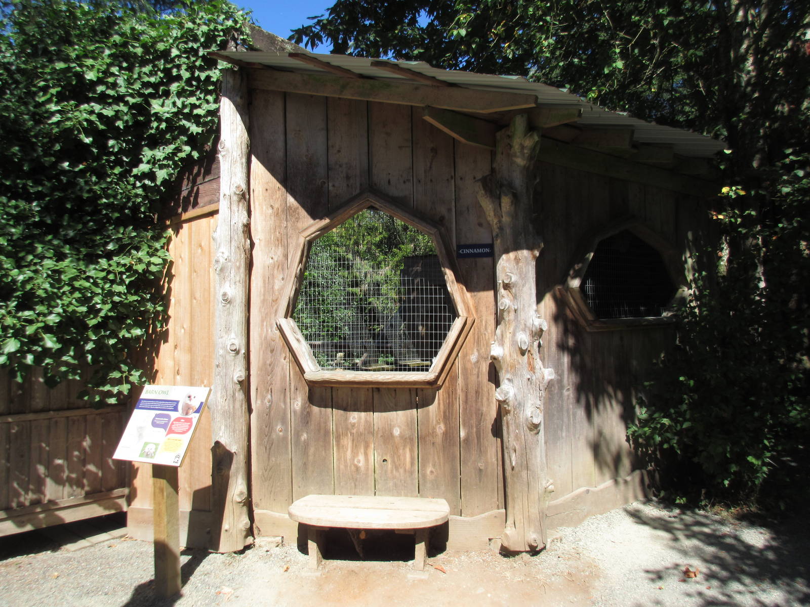 North Island Wildlife Recovery Centre - Barn Owl Exhibit