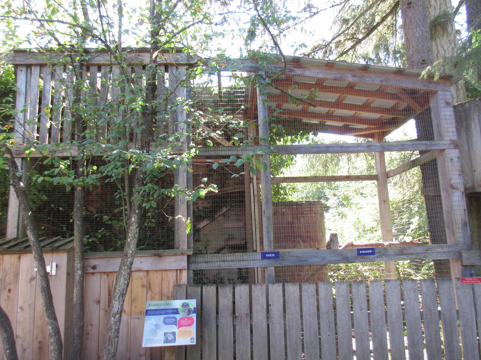 North Island Wildlife Recovery Centre - Barred Owl Exhibit