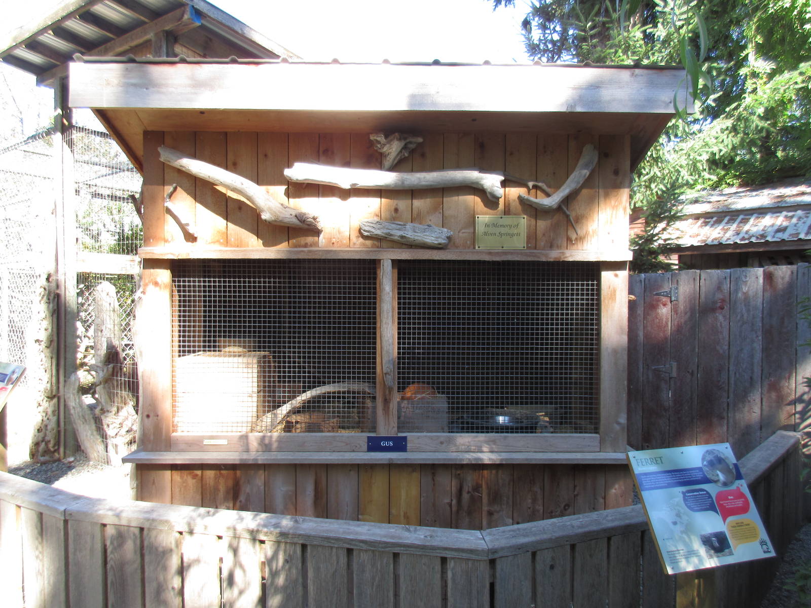 North Island Wildlife Recovery Centre - Domestic Ferret Exhibit