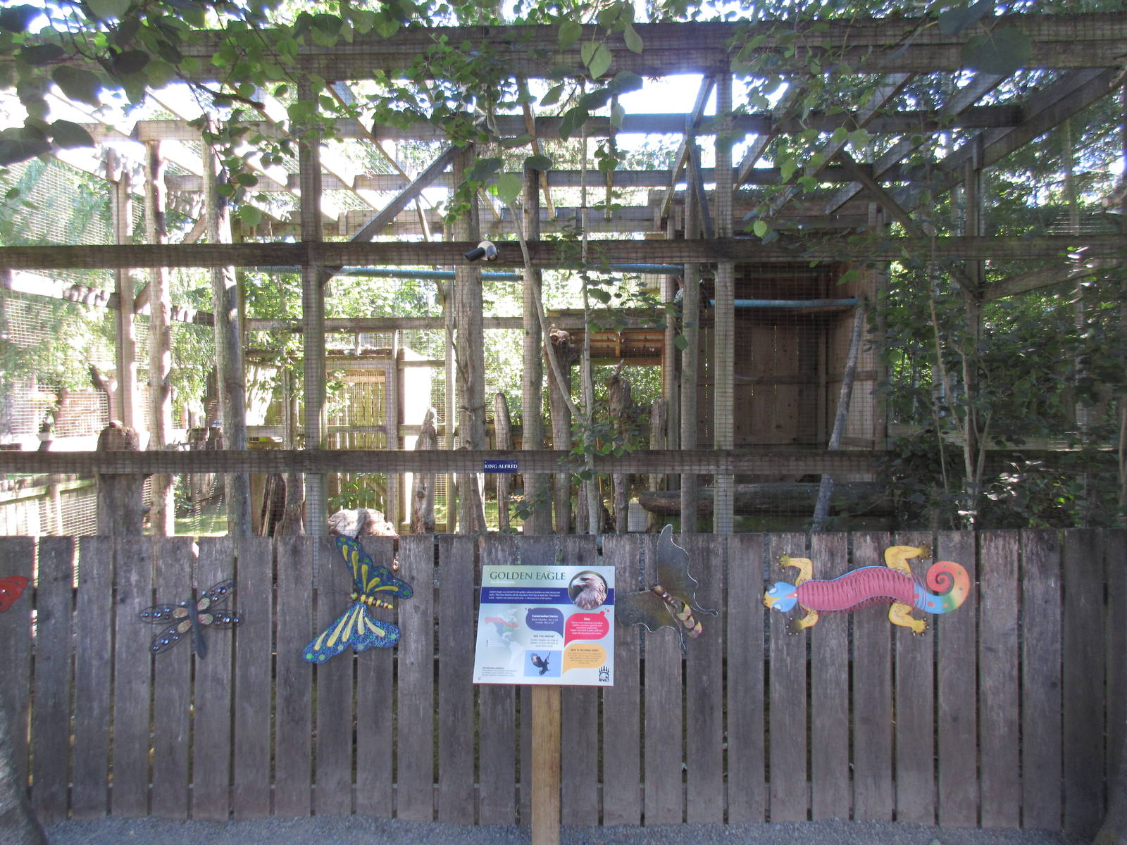 North Island Wildlife Recovery Centre - Golden Eagle Exhibit