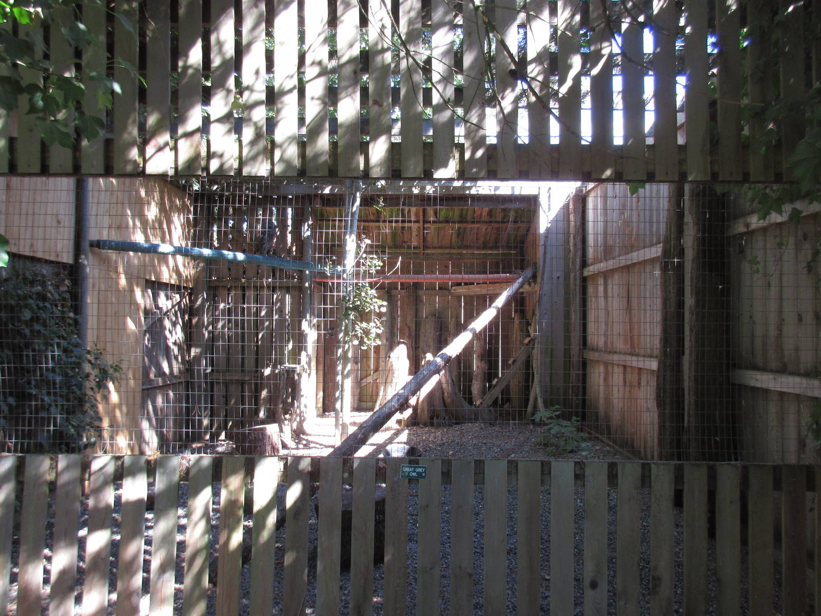 North Island Wildlife Recovery Centre - Great Gray Owl Exhibit