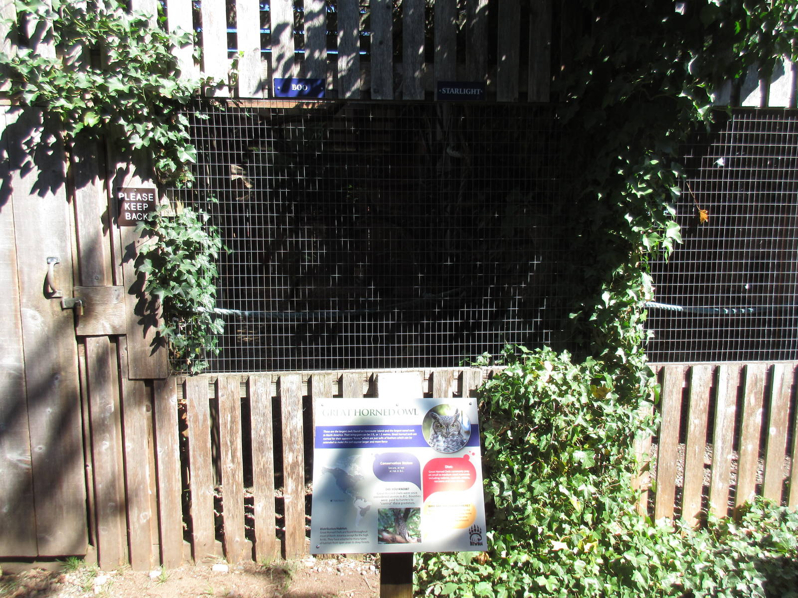 North Island Wildlife Recovery Centre - Great Horned Owl Exhibit