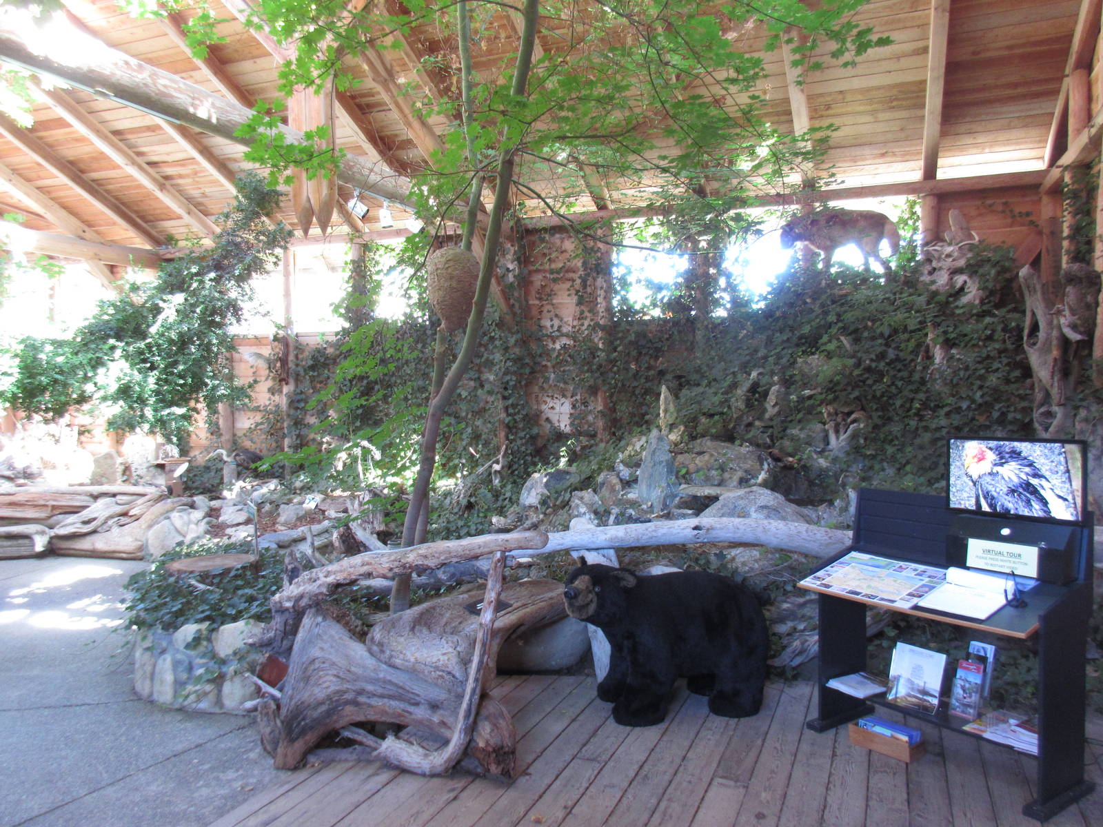 North Island Wildlife Recovery Centre - Museum of Nature