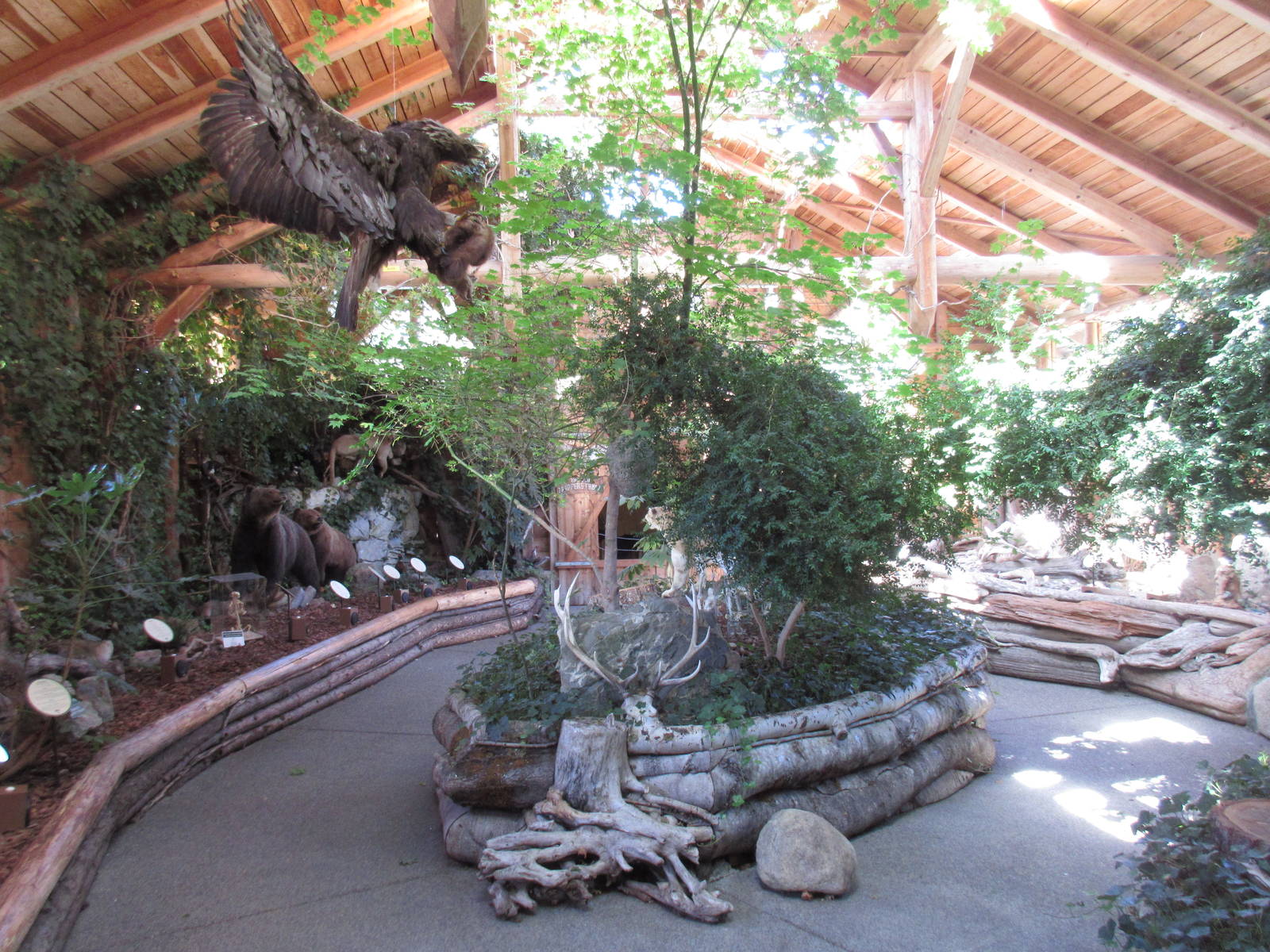 North Island Wildlife Recovery Centre - Museum of Nature