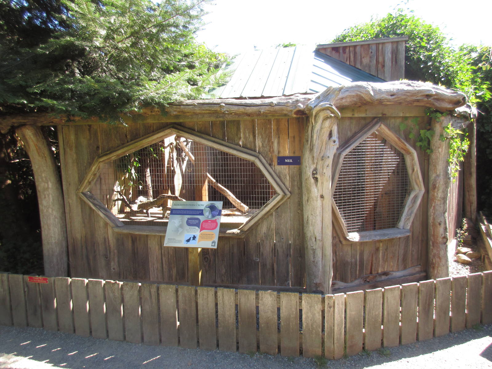 North Island Wildlife Recovery Centre - Northwestern Crow Exhibit