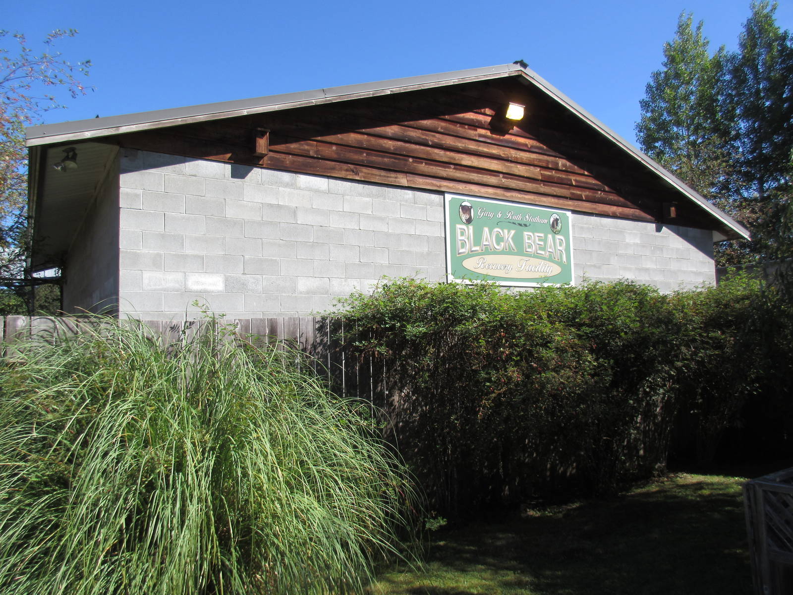 North Island Wildlife Recovery Centre - Off-Show American Black Bear Cubs