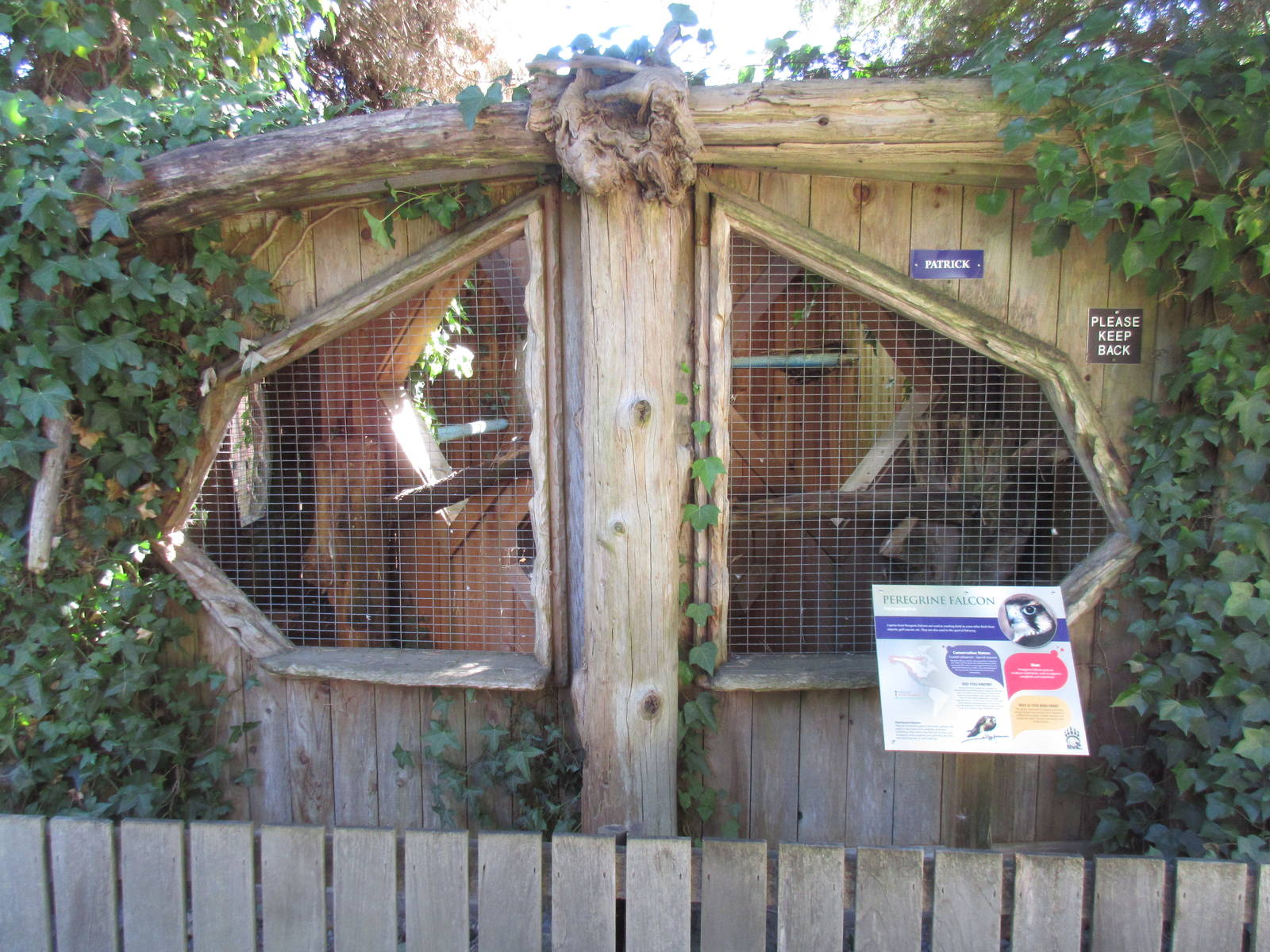 North Island Wildlife Recovery Centre - Peregrine Falcon Exhibit