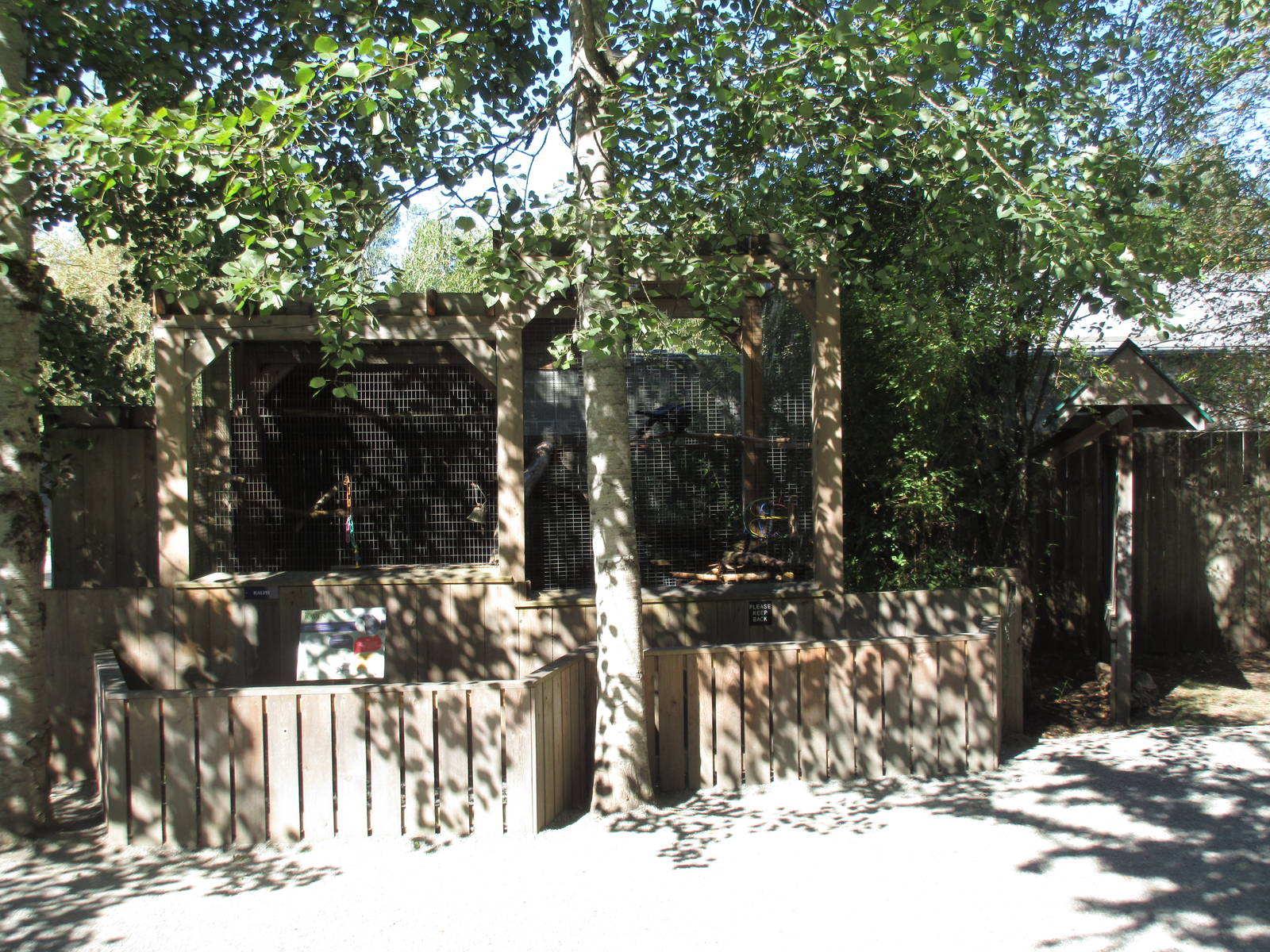 North Island Wildlife Recovery Centre - Raven Exhibit